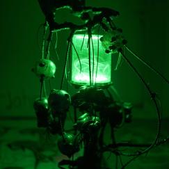 KAYA (Kerstin Brätsch & Debo Eilers)