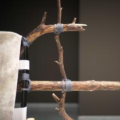 the Mycological Twist 