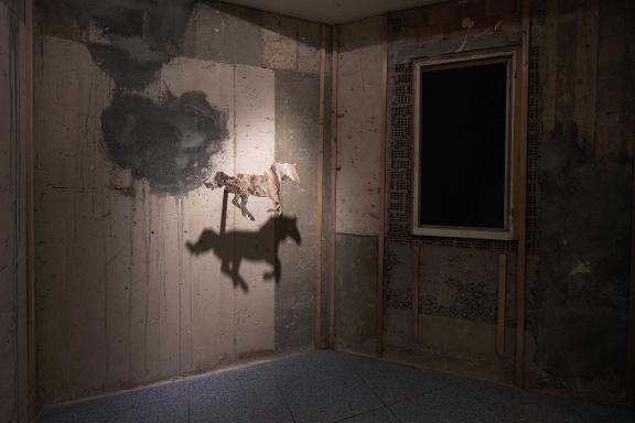 Evi Kalogiropoulou, She was the first woman to breed horses, 2019. 