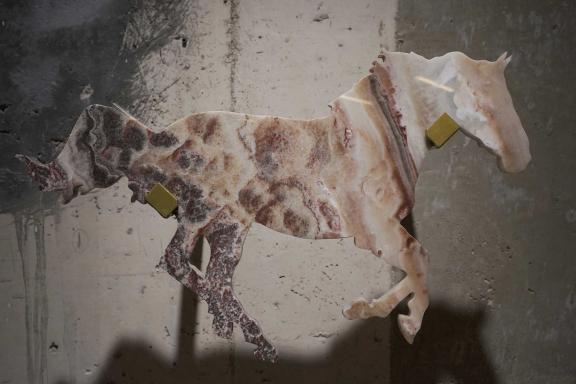 Evi Kalogiropoulou, She was the first woman to breed horses, 2019. 