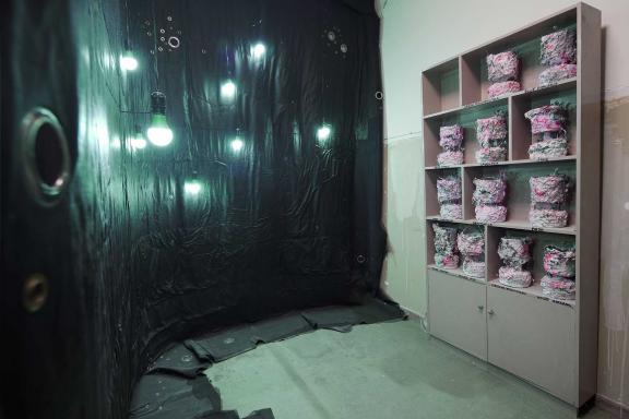 KAYA (Kerstin Brätsch & Debo Eilers), KAYA Boorswester (healing SPA for a sick painting), 2021.