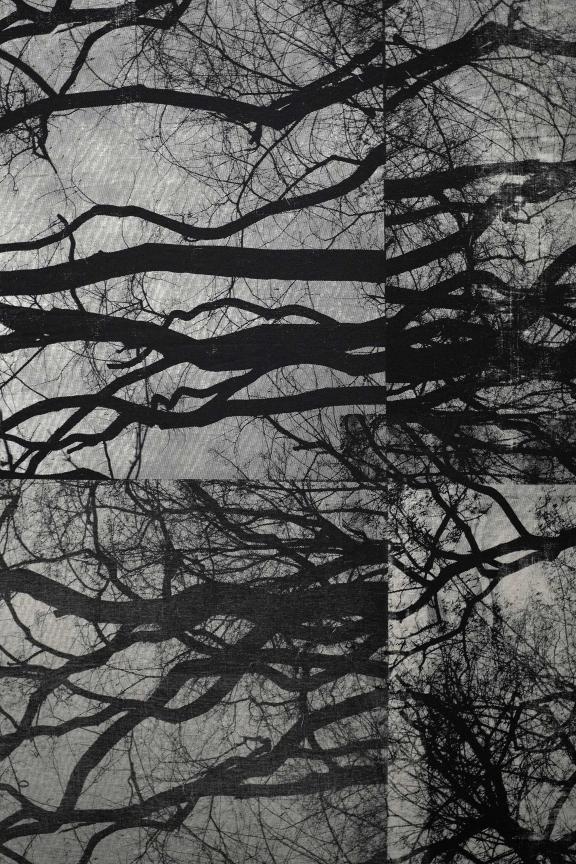 Zohra Opoku, They speak to me. Who are you?, they say to me. What is your name?, they say to me.