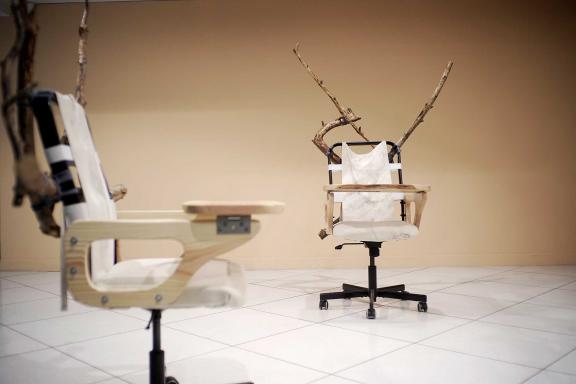 the Mycological Twist, Reverse Synergy, 2021. 