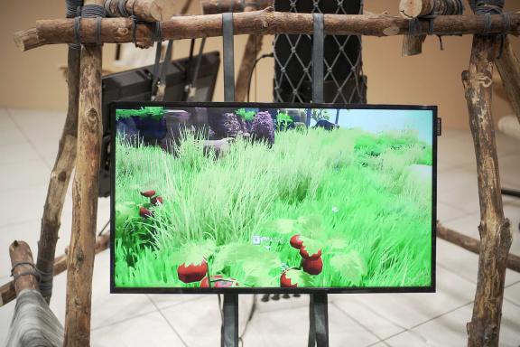 the Mycological Twist, Reverse Synergy, 2021. 