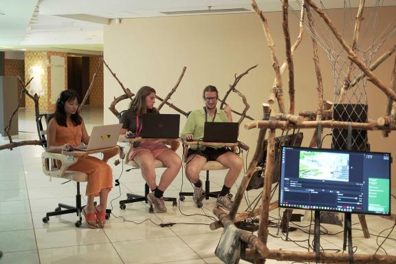 the Mycological Twist, Reverse Synergy, 2021. 