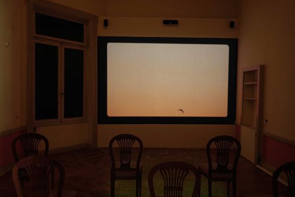 Tourmaline, Salacia, 2019.