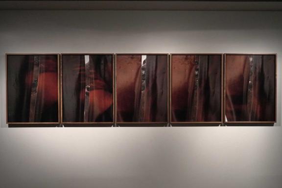 Paul Mpagi Sepuya, Exposure (_2100879, _2100889, _2100999, _2110004, _2110008), 2017.