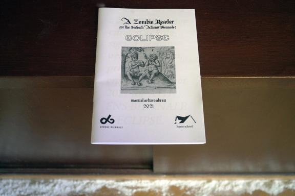 manuel arturo abreu, A Zombie Reader for the Seventh Athens Biennale: ECLIPSE, 2021. Cascarilla Layer, 2021. 
