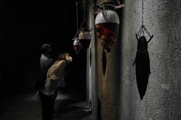 Doreen Garner, Known But To God: The Dug Up, Dissected, and Disposed for the Sake of Medicine, 2017. Installation view at the 7th Athens Biennale 2021 ECLIPSE, photo: Nysos Vasilopoulos.