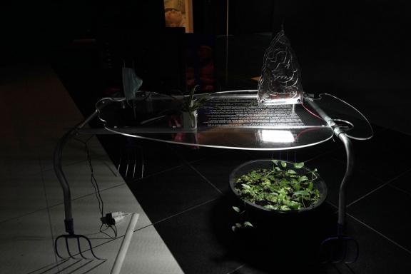 Hypercomf, Polycelium office, 2021 (detail). Installation view at the 7th Athens Biennale 2021 ECLIPSE, photo: Nysos Vasilopoulos.