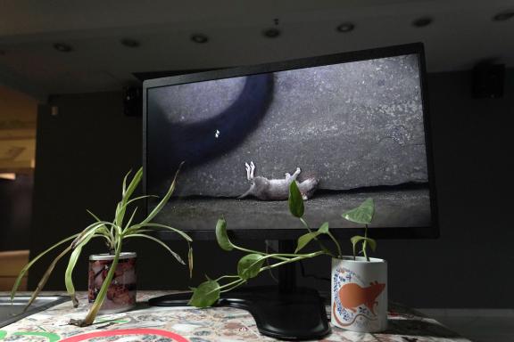 Hypercomf, Polycelium office, 2021 (detail). Installation view at the 7th Athens Biennale 2021 ECLIPSE, photo: Nysos Vasilopoulos.