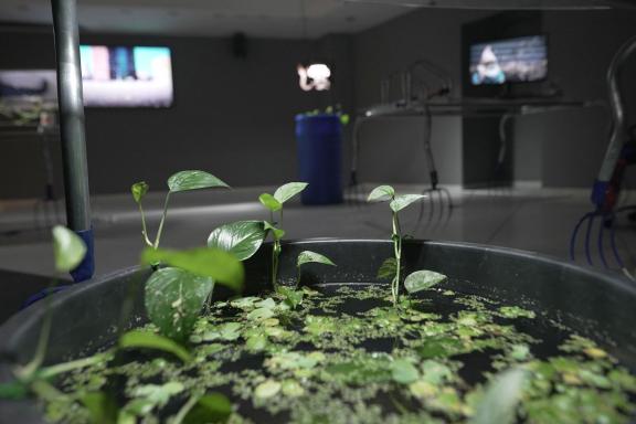 Hypercomf, Polycelium office, 2021 (detail). Installation view at the 7th Athens Biennale 2021 ECLIPSE, photo: Nysos Vasilopoulos.